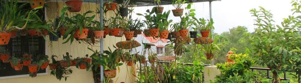 Leaf Homestay Hoi An Esterno foto