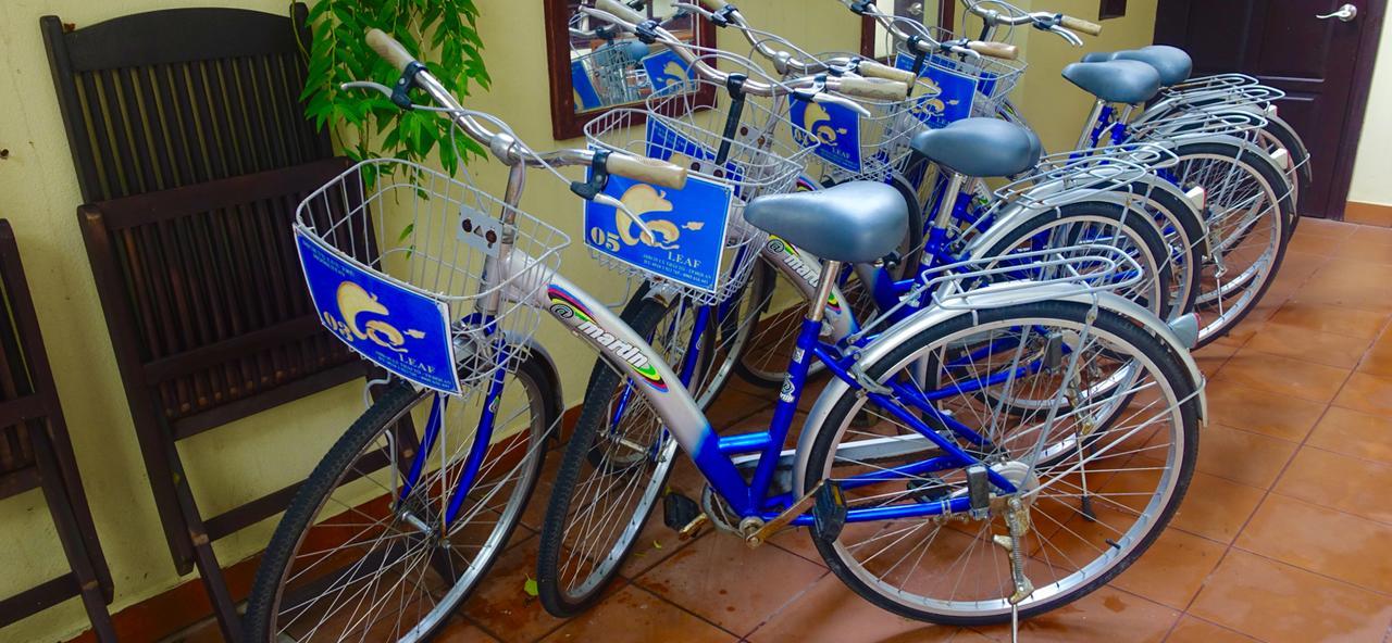 Leaf Homestay Hoi An Esterno foto