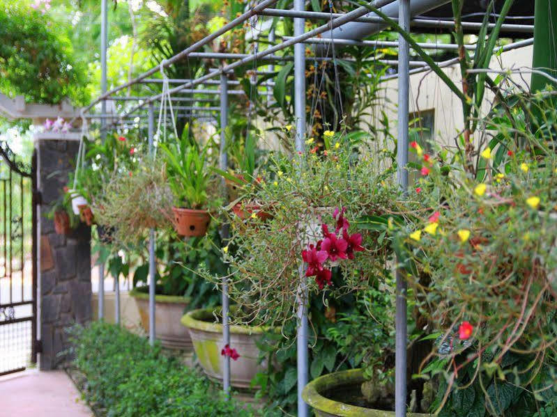 Leaf Homestay Hoi An Esterno foto
