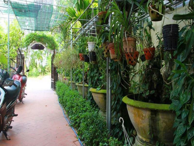 Leaf Homestay Hoi An Esterno foto