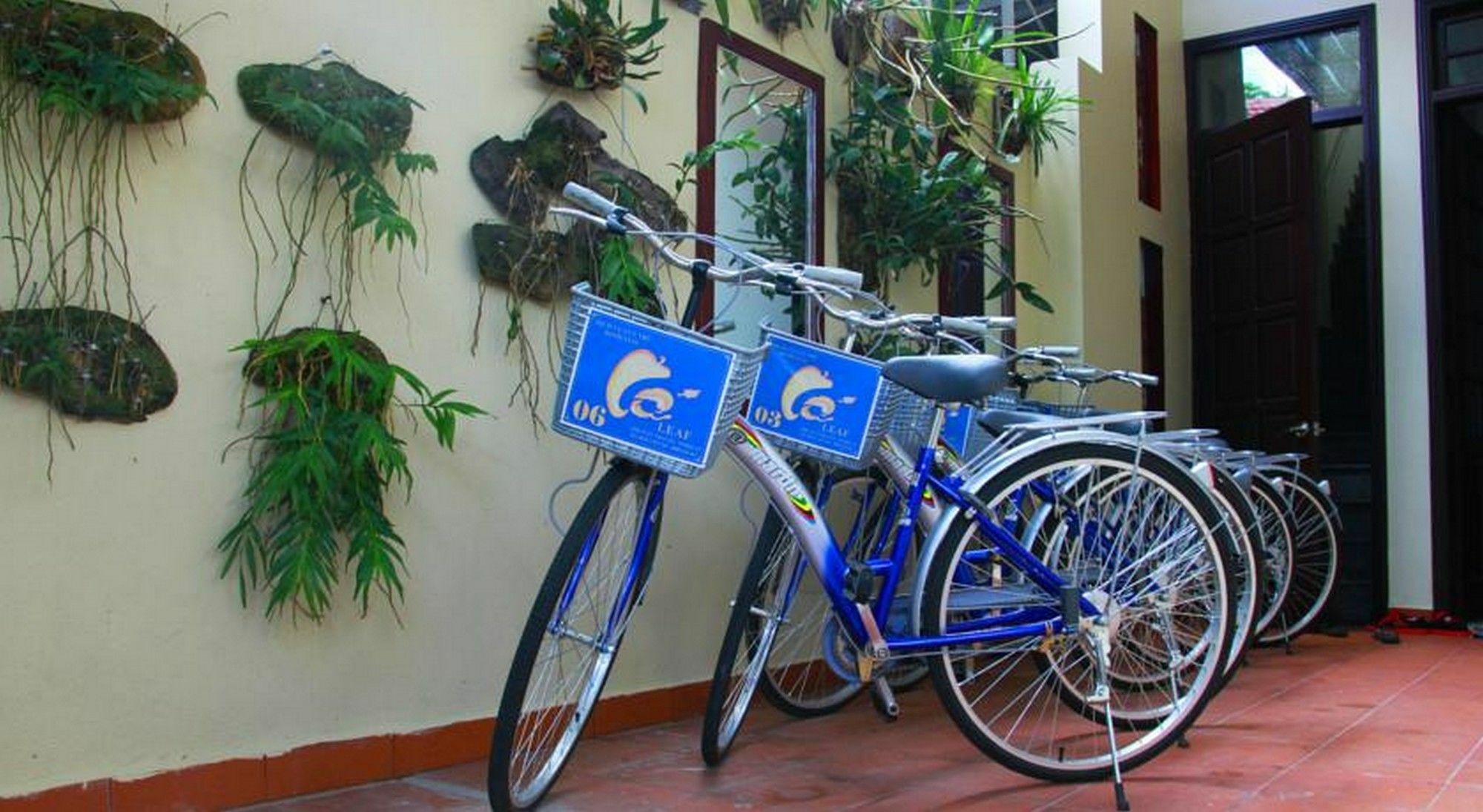 Leaf Homestay Hoi An Esterno foto